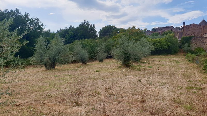 Castel Viscardo, loc. Viceno.