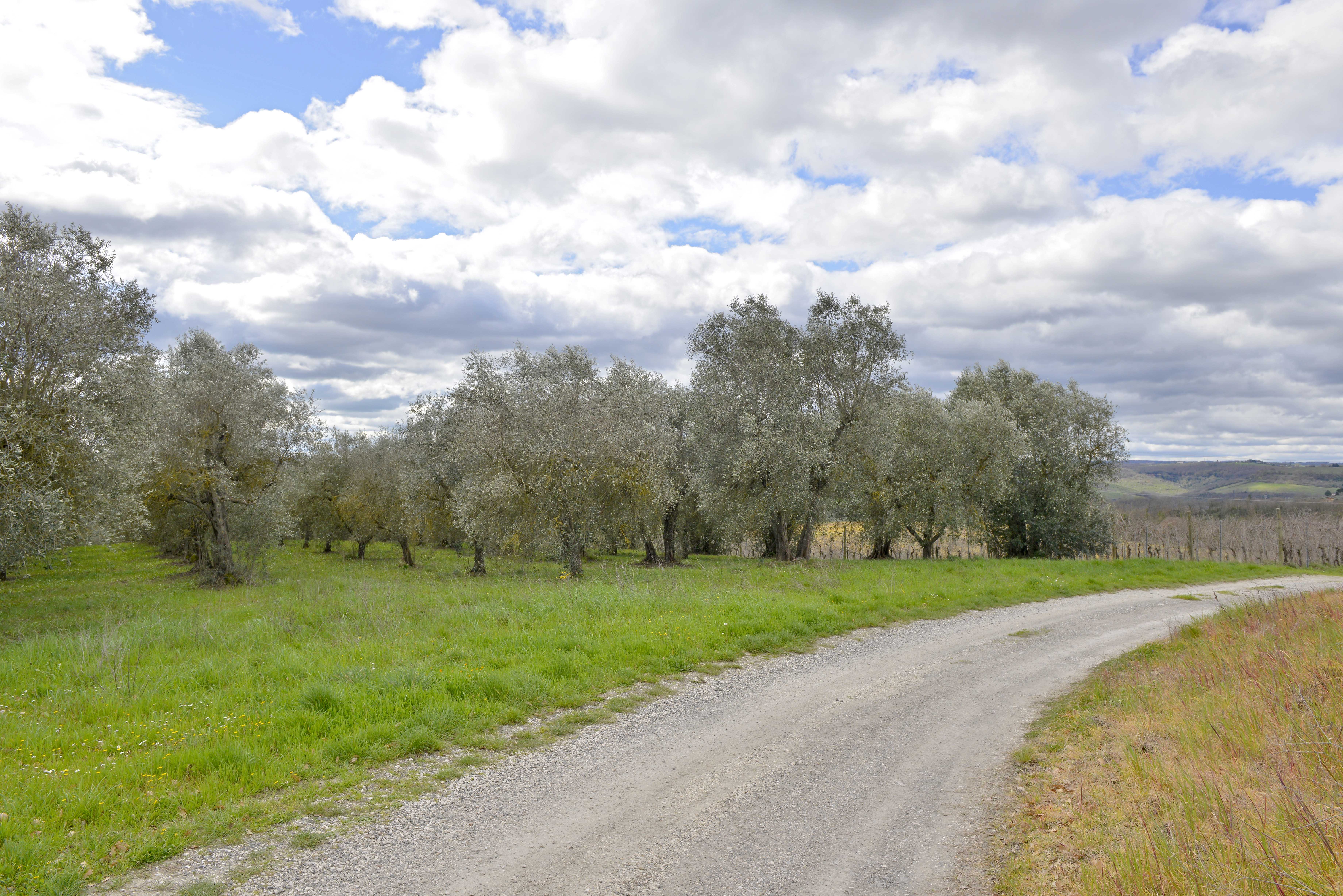 Orvieto, a 15 km circa, casale di 370 mq, con annessi e terreno di 8 Ha…